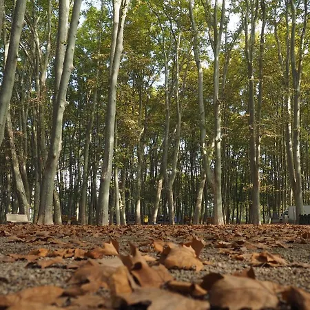 Appartement Santa Clara Gerona