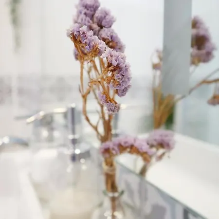 Appartement Santa Clara