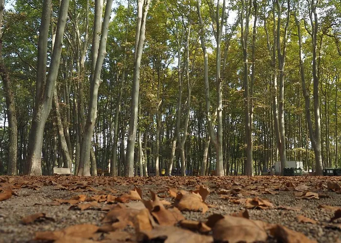 Lägenhet Santa Clara Girona